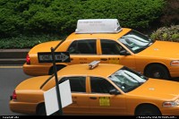 Photo by elki | New York  New york cabs @central park